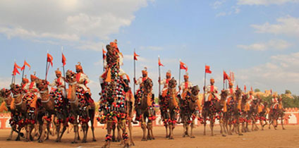 Camel Festival Bikaner in Rajasthan tour and travel guide
