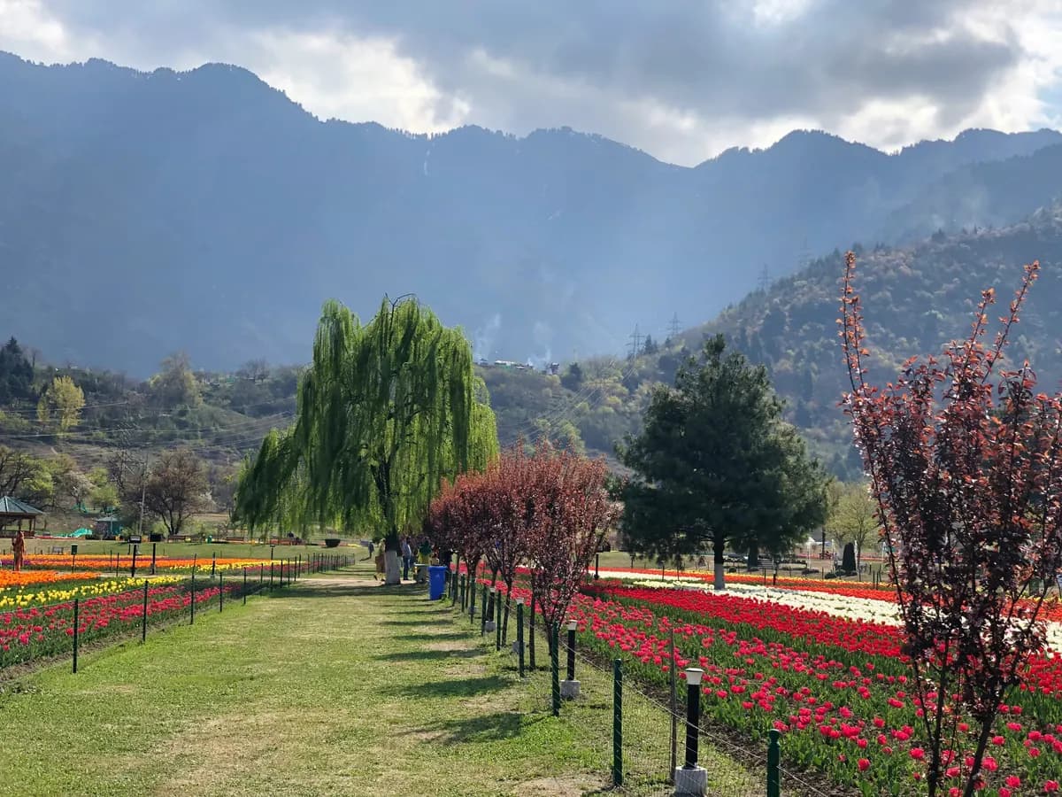Srinagar, Kashmir