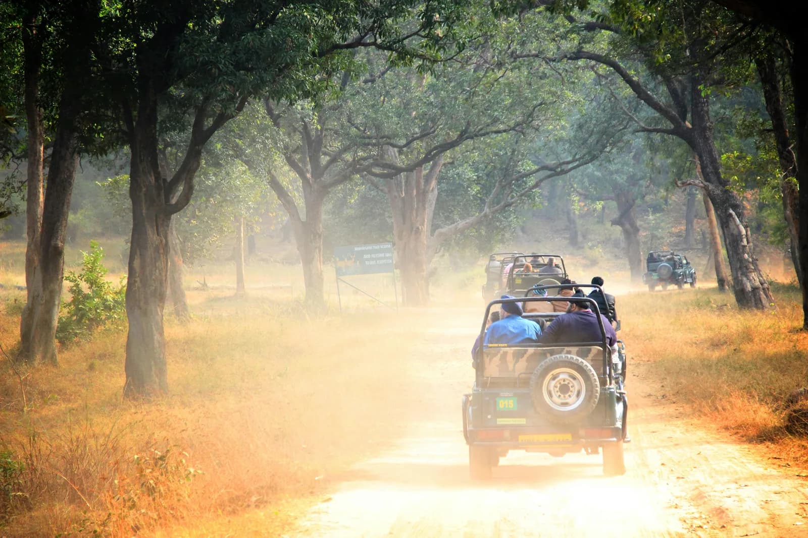 Safari jeeps at Bandhavgarh Tiger Reserve