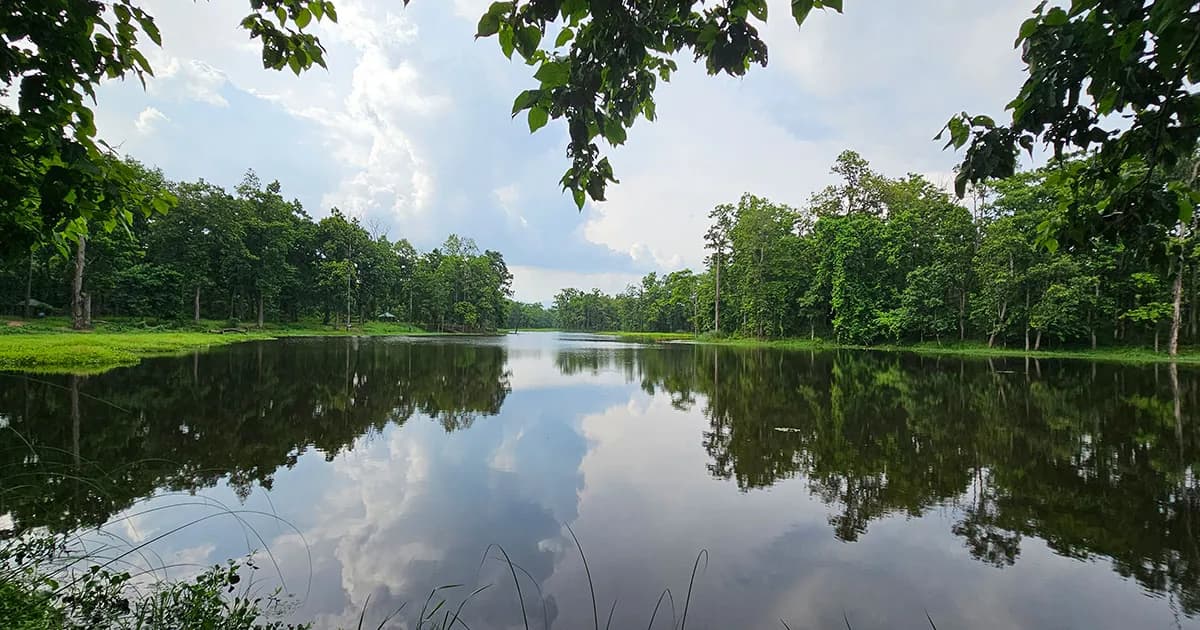 The still, forest-ringed waters of Bishazari Tal wetlands