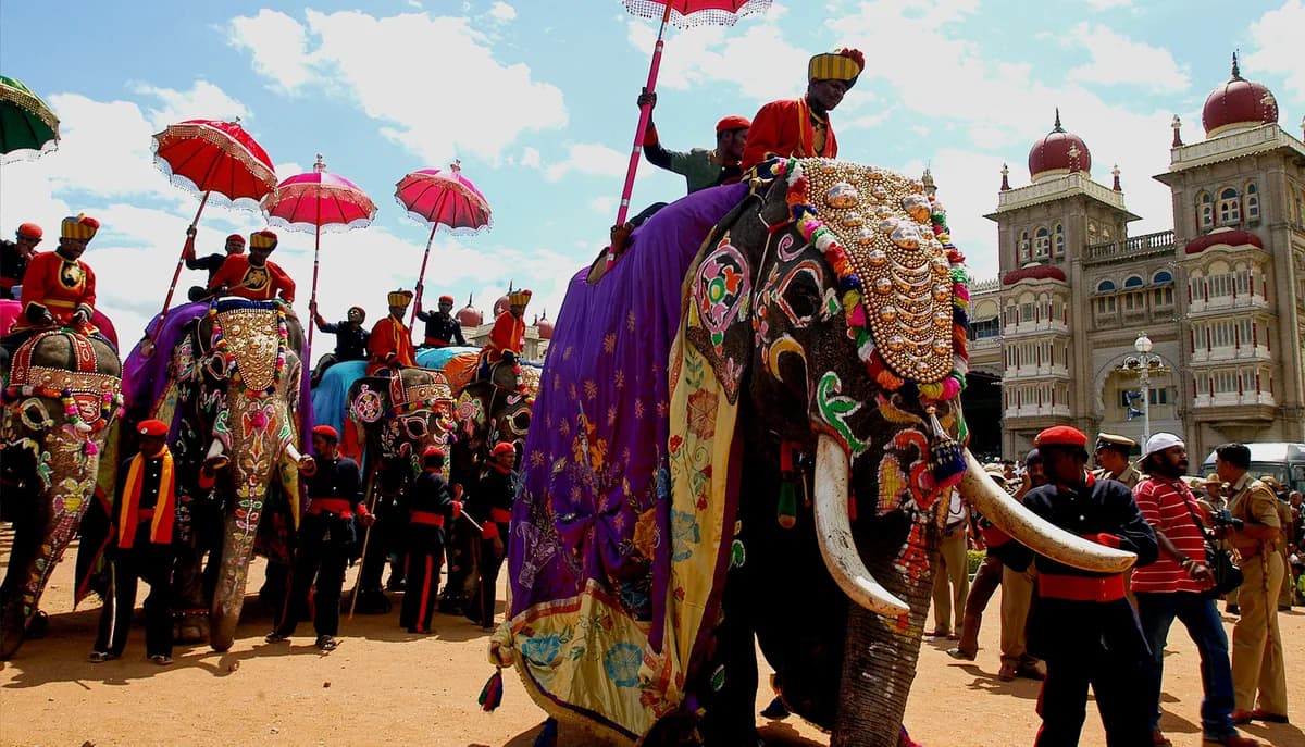 Decorated elephants at the Elephant Festival, Jaipur
