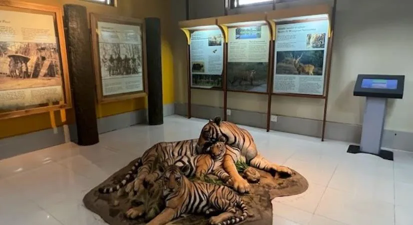 Wildlife exhibits inside the Kanha Museum
