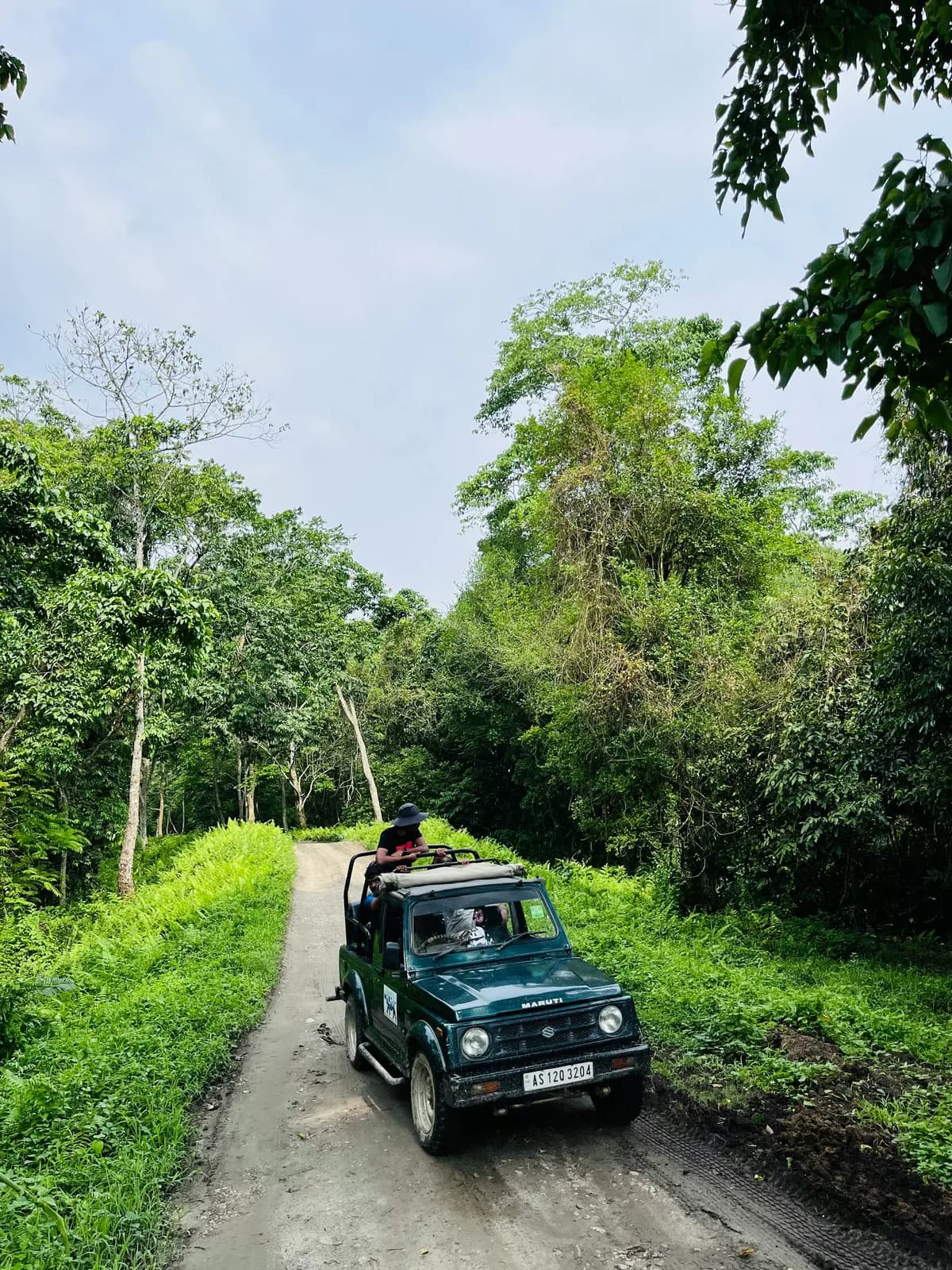 Elephant-Back Safari