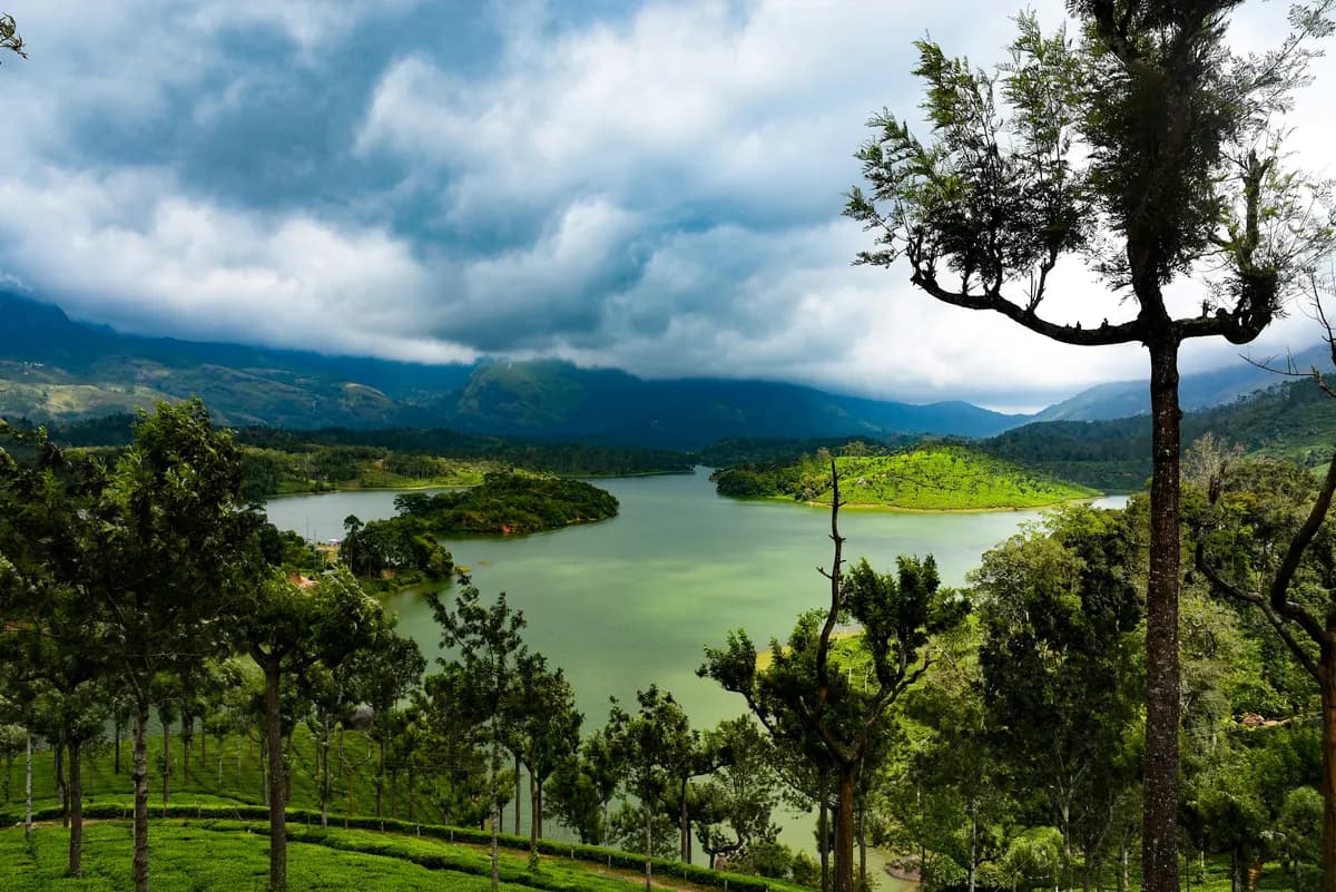 Mattupetty Lake surrounded by tea plantations and hills, Munnar