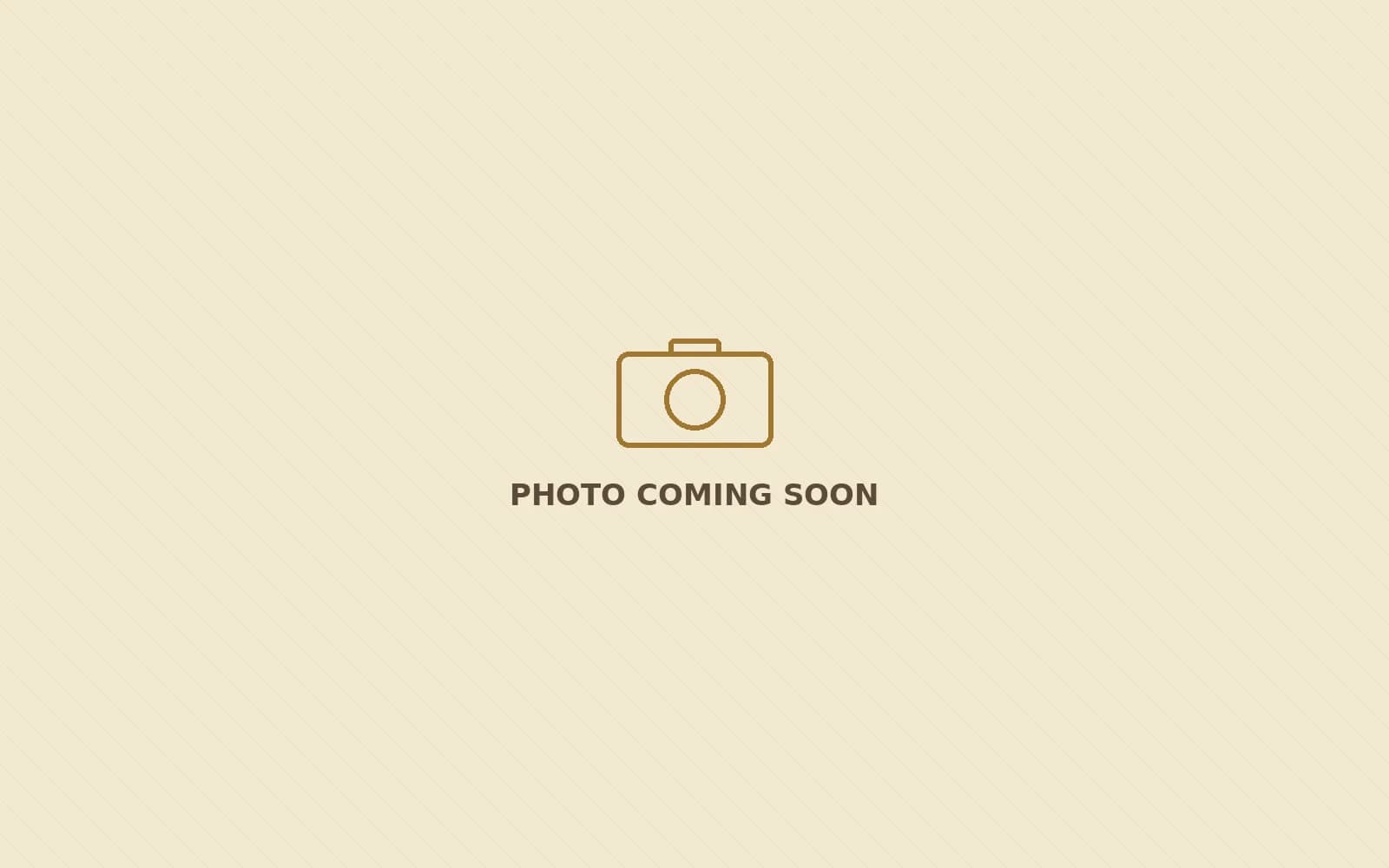 Urs Festival, Ajmer — photo coming soon