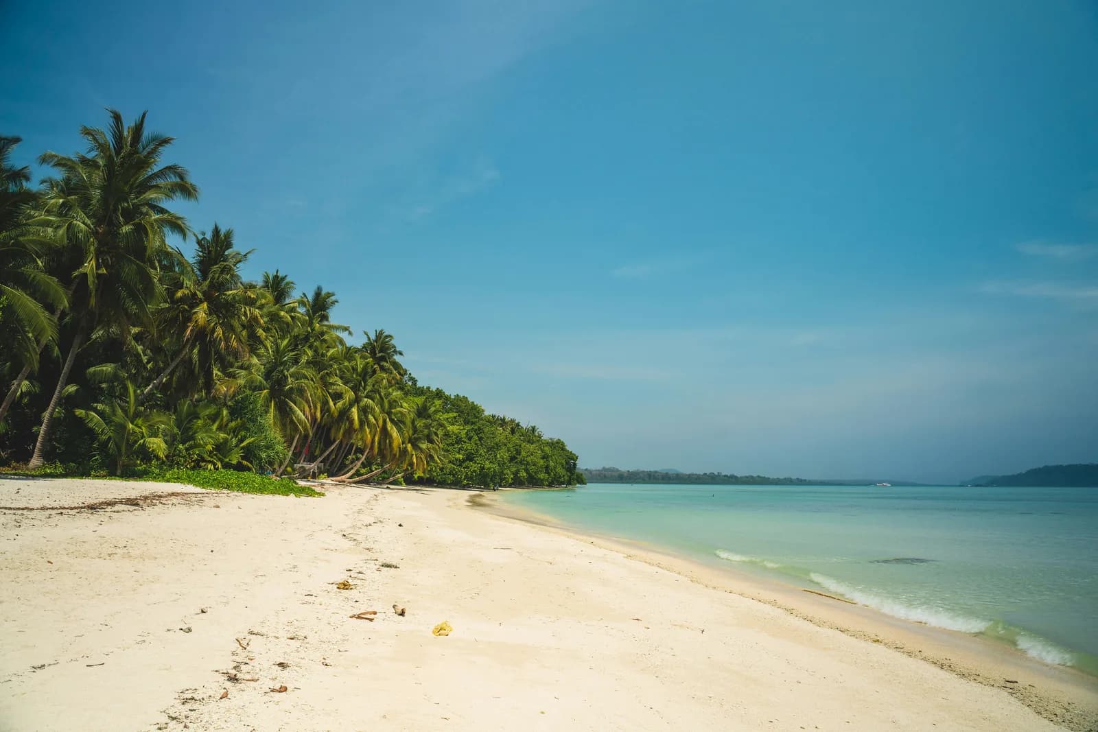Palm-fringed beach in the Andaman Islands