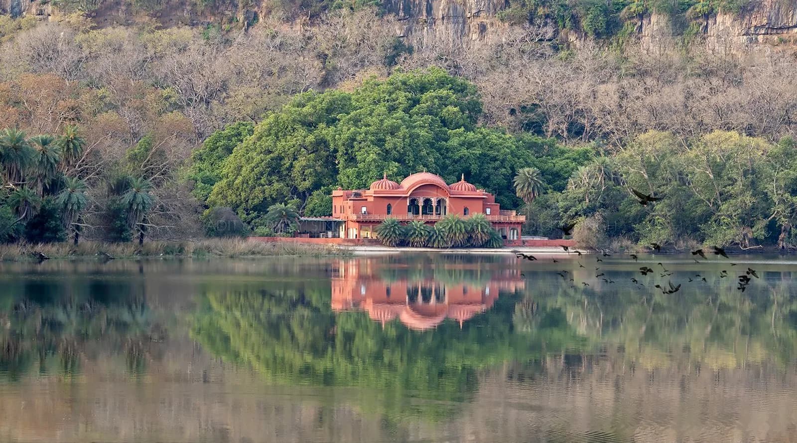 Jogi Mahal on the shore of Padam Talao, Ranthambore