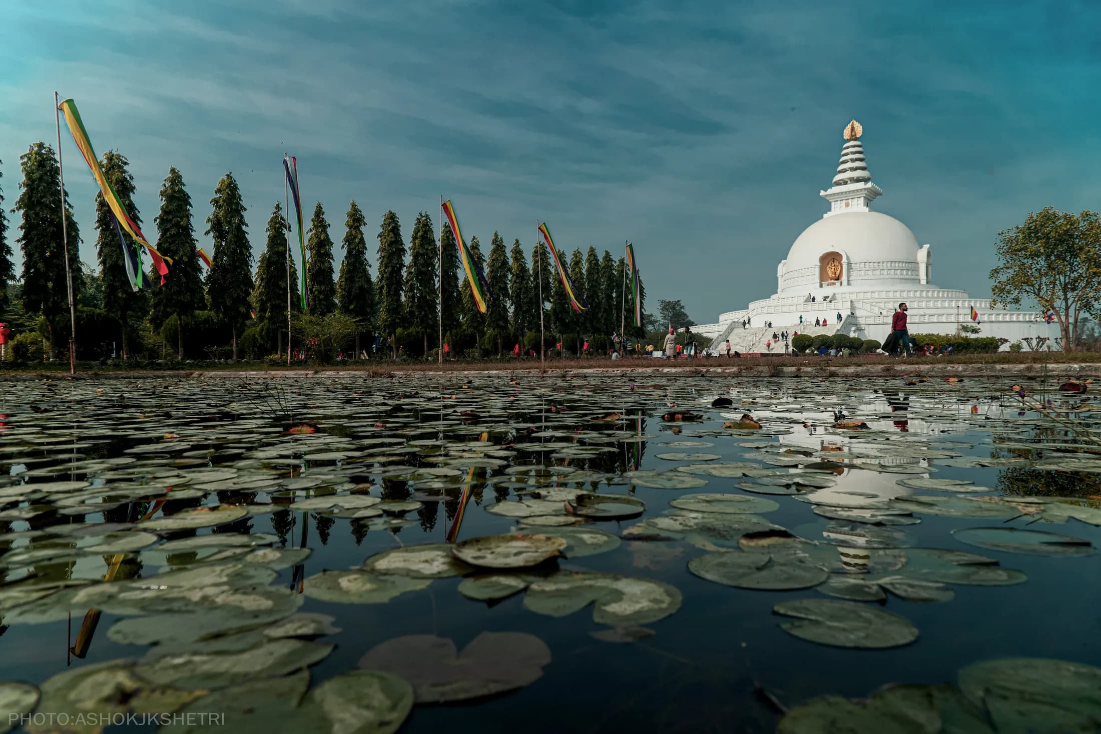 The white World Peace Pagoda reflected in the lotus pond at Lumbini