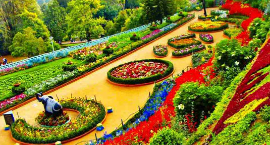 ooty south india tours