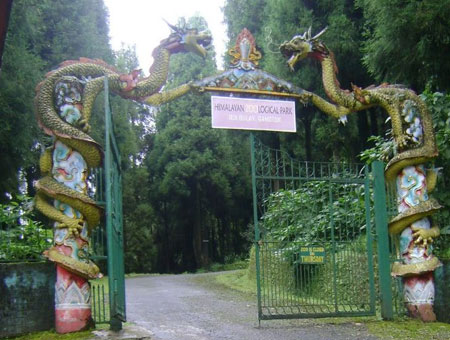 Padmaja Naidu Himalayan Zoological Park in Darjeeling