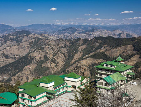 Kurfi in Shimla
